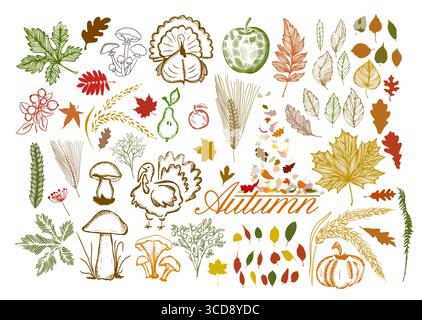 Ensemble d'éléments d'automne. dessiné à la main. Pas ai, illustration vectorielle Illustration de Vecteur