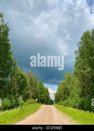 Un chemin de terre serein, magnifiquement bordé d'arbres, s'étend sous un ciel nuageux, évoquant une atmosphère rurale paisible Banque D'Images