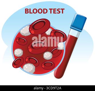 Illustration vectorielle d'un tube de prélèvement sanguin à côté de globules rouges et blancs agrandies, en utilisant des couleurs vives et un design plat pour les concepts médicaux Illustration de Vecteur