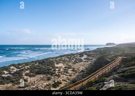 La vue sur la promenade d'où les touristes peuvent voir les lions de mer et la côte au parc de conservation de Seal Bay sur Kangaroo Island en Australie méridionale. Banque D'Images