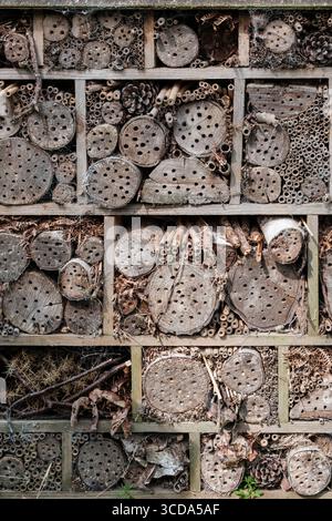 Hôtel à insectes fabriqué à partir de bûches de bois empilées avec des trous forés, offrant un habitat naturel pour les abeilles solitaires et les pollinisateurs dans un jardin animalier. Banque D'Images