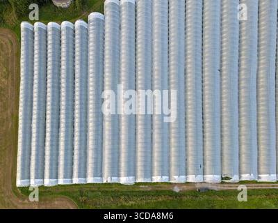 Vue aérienne de rangées de serres reflétant le ciel, créant un paysage éthéré chatoyant sur fond de champs verts, Innvik, Vestland, Norvège. Banque D'Images