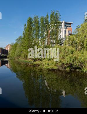 De grands arbres et des appartements modernes au bord de la rivière se reflètent dans les eaux calmes de la rivière Foss, York, sous un ciel bleu clair Banque D'Images