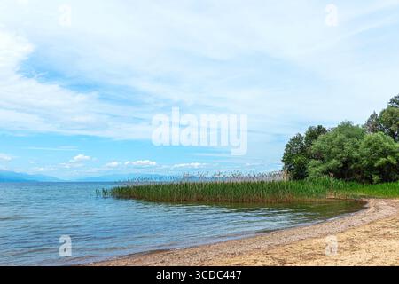 Les rives du lac Ohrid près du monastère de Sveti Naum. Banque D'Images