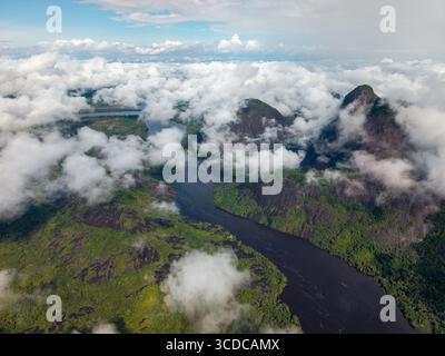 Vue aérienne de la rivière sombre serpentant à travers le paysage verdoyant vibrant, encadré par les sommets imposants de Cerros Mavicure et les nuages doux et éthérés, Puerto Inírida, Cerros Mavicure, Colombie. Banque D'Images