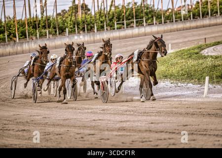 Padoue, italie 18 juillet 2025, groupe de jockeys conduisant des chevaux attelés en compétition sur une piste de trot en terre Banque D'Images