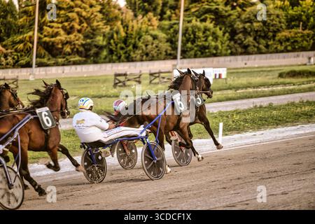 Padoue, italie 18 juillet 2025, attelle les chevaux de course qui courent à grande vitesse sur une piste en terre battue, tirant deux chariots à roues conduits par des jockeys Banque D'Images