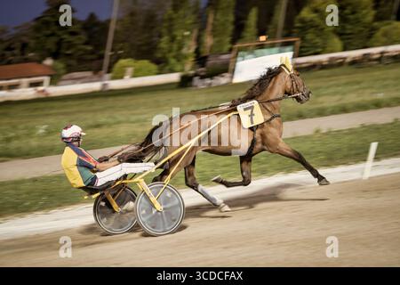 Padoue, italie 18 juillet 2025, cheval avec numéro 7 et jockey en compétition de course attelée sur le circuit de padoue Banque D'Images