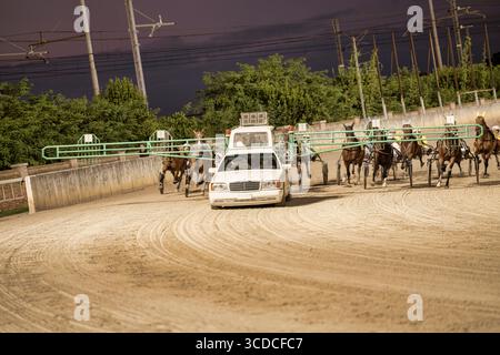 Padoue, italie 18 juillet 2025, chevaux courant sur une piste la nuit, tirés par une voiture de tête Banque D'Images