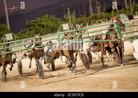Padoue, italie 18 juillet 2025, chevaux de course attelés courant sur une piste la nuit, jockeys en compétition pour la victoire Banque D'Images
