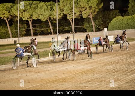 Padoue, italie 18 juillet 2025, chevaux de course attelés en compétition sur la piste la nuit Banque D'Images