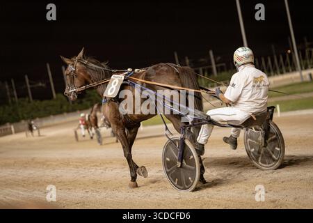 Padoue, italie 18 juillet 2025, Bay Horse trotter la nuit sur un circuit sablonneux, tirant un sulky à deux roues conduit par un jockey lors d'une course attelée Banque D'Images