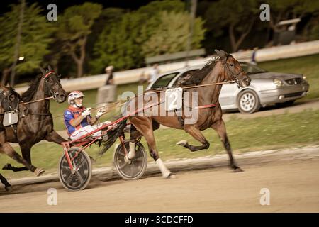 Padoue, italie 18 juillet 2025, chevaux qui courent vite sur la piste d'une compétition de courses attelées la nuit Banque D'Images
