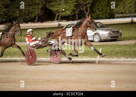 Padoue, italie 18 juillet 2025, courses de chevaux sur piste de terre lors d'une compétition de harnais avec sulky et jockeys Banque D'Images