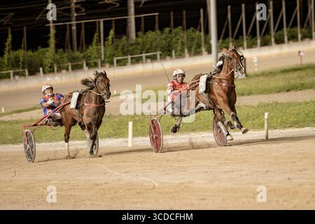Padoue, italie 18 juillet 2025, deux jockeys en compétition lors d'une compétition de courses hippiques attelées Banque D'Images
