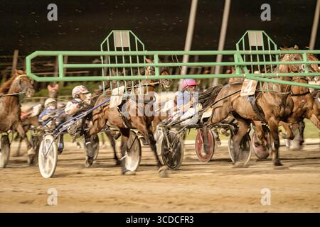 Padoue, italie 18 juillet 2025, chevaux de course attelés courant sur piste la nuit en compétition pour la victoire Banque D'Images