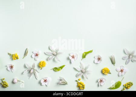 Bordure florale de fleurs de printemps sur un fond blanc. Pose à plat, vue de dessus, espace de copie. Beau motif floral dans des couleurs pastel. Banque D'Images