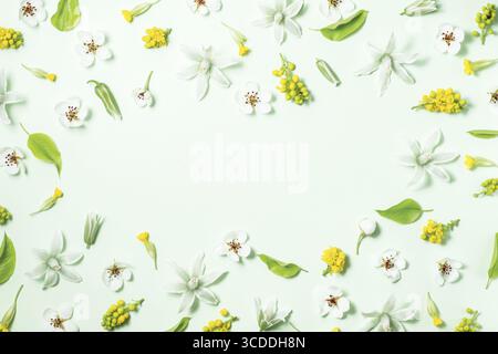 Cadre floral de fleurs de printemps sur un fond blanc. Pose à plat, vue de dessus, espace de copie. Beau motif floral dans des couleurs pastel. Banque D'Images