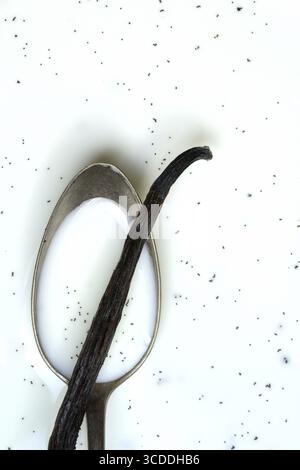 Cuillère avec gousse de vanille, graines de vanille dans le lait Banque D'Images