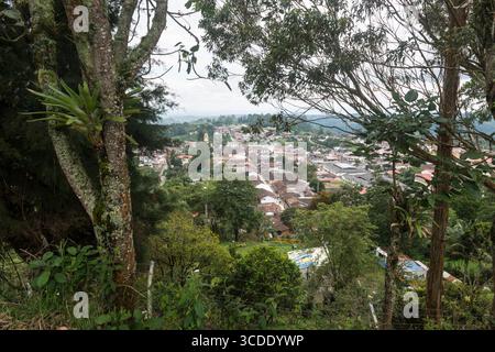 Vue aérienne à travers la végétation sur la ville de Salento, département de Quindío, Colombie Banque D'Images