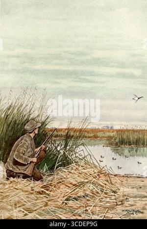 Tiré derrière lui de notre jeu à plumes ; un manuel des oiseaux de gibier nord-américain par Huntington, Dwight Williams, publié en 1903 Banque D'Images