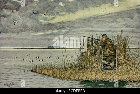 Shooting Canvas-Backs at Ragged Island à partir de notre jeu à plumes ; un manuel des oiseaux de gibier nord-américain par Huntington, Dwight Williams, publié en 1903 Banque D'Images