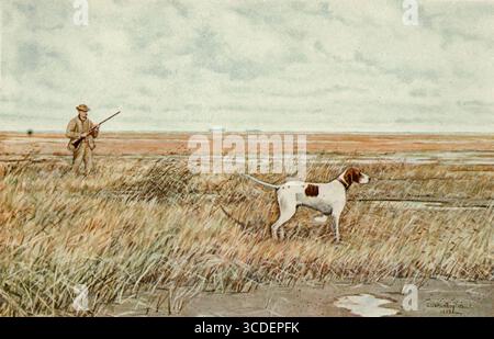 Snipe Shooting in the Marshes from our Feathered game ; un manuel des oiseaux gibier nord-américain par Huntington, Dwight Williams, publié en 1903 Banque D'Images