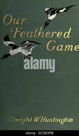 Couverture de livre vert doré de notre jeu à plumes ; un manuel des oiseaux de gibier nord-américain par Huntington, Dwight Williams, publié en 1903 Banque D'Images