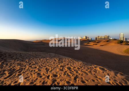 Un contraste saisissant dans la région chilienne de Valparaiso : de vastes dunes de sable doré rencontrent les tours résidentielles modernes de Concon. Banque D'Images
