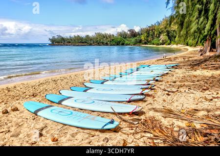 Plage et planches de surf alignées le long du sable près de Turtle Bay Resort Banque D'Images