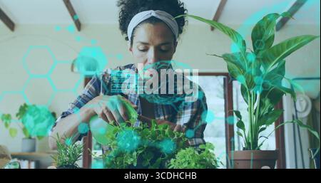 Arrosage femme dans la chemise à carreaux tenant le pulvérisateur parmi les herbes en pot dans la cuisine, avec recouvrement numérique Banque D'Images
