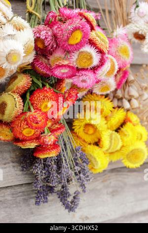 Fleurs séchées. Bouquets de fleurs vibrantes suspendues à l'envers pour sécher, y compris des fleurs de paille, de la lavande, des coquelicots et des alliums pour les arrangements et l'artisanat. Banque D'Images