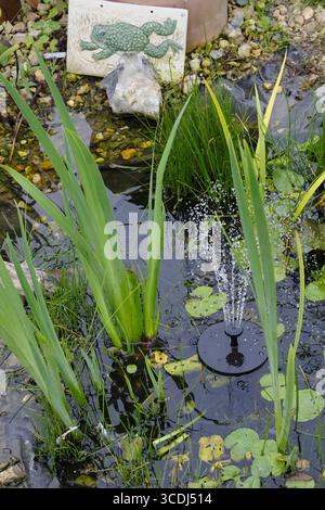Étang de jardin serein avec des nénuphars, entouré d'une végétation luxuriante et doté d'une petite fontaine solaire dans un cadre de lotissement paisible Banque D'Images