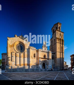 Les visiteurs admirent la superbe architecture romane de la collégiale Santa Maria la Mayor de Toro, qui brille par la lumière du soir. Banque D'Images
