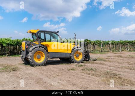 Chargeur de chariot élévateur de couleur jaune dans un champ sur un fond de vignoble. Image de stock. Banque D'Images