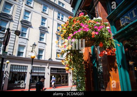 Gros plan d'un panier de fleurs coloré suspendu au pub Crown, Seven Dials, Londres, présentant des fleurs vibrantes et une végétation luxuriante par une journée d'été ensoleillée. Banque D'Images