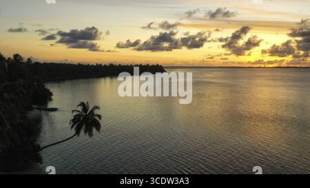 Vue aérienne du soleil plongeant sous l'horizon, peignant les eaux tranquilles avec des teintes d'or et la silhouette d'un palmier encadrant la scène, Maldives. Banque D'Images