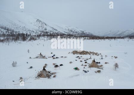 Vue aérienne d'un camp nomade niché dans la vallée enneigée, avec des tentes traditionnelles et un troupeau de rennes qui paissent paisiblement, oblast de Mourmansk, Russie. Banque D'Images
