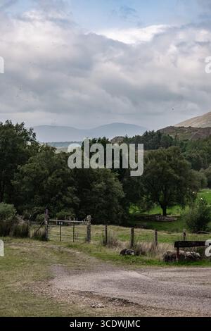 Un paysage serein et pittoresque avec Rolling Hills avec une végétation luxuriante qui l'entoure Banque D'Images