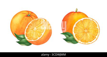 Ensemble de fruits orange aquarelle. Tranches d'illustration dessinée à la main orange isolées sur un fond blanc. Banque D'Images
