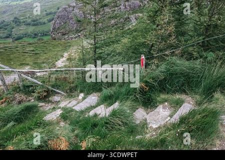 Un sentier sinueux à travers un paysage vert vibrant rempli d'une variété de couleurs Banque D'Images