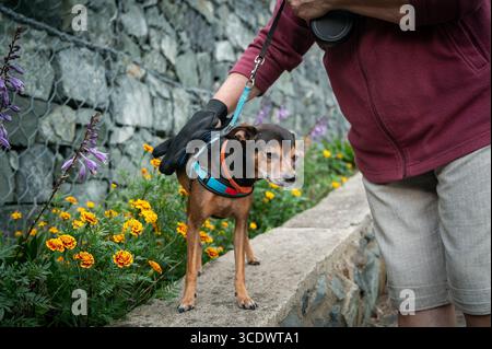 Femme peignant un pichet miniature en plein air. Banque D'Images