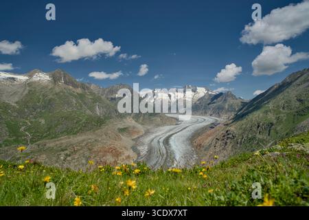 Photographies du glacier d'Aletsch, prises de Riederalp dans la vallée du Rhône, Wallis, Suisse. Capturé par une journée claire et ensoleillée, montrant le glacier Banque D'Images