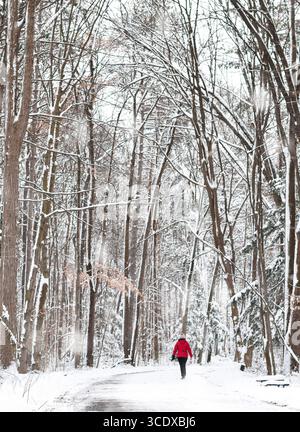 Petite figure de femme en veste rouge de derrière marchant dans la forêt en hiver Banque D'Images