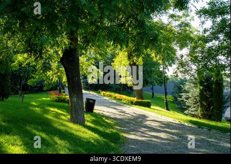 Un chemin pavé dans un parc de la ville parmi les arbres verts et la pelouse. Paysage de parc ensoleillé Banque D'Images