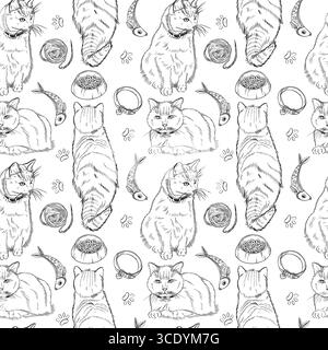 Modèle vectoriel sans couture, chats et chats de différentes races, siamoises, rayées, bols de nourriture, colliers. Tous les objets sont dessinés à la main avec de l'encre. Vecteur Illustration de Vecteur
