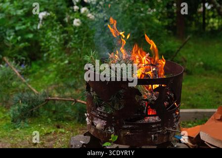 Une scène de cour confortable avec un foyer en métal avec des flammes vives. les branches de pin craquent en brûlant, entourées d'un feuillage vert luxuriant, créant Banque D'Images