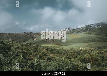Pittoresque vallée de montagne avec des chalets en pierre éparpillés, des vaches en pâturage et des collines verdoyantes sous un ciel nuageux spectaculaire, créant un réseau rural serein Banque D'Images