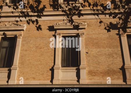 Façade architecturale ensoleillée avec fenêtres détaillées et ornements décoratifs sous les branches d'arbres. Plan architectural d'une vieille maison avec windo Banque D'Images