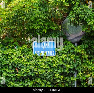 Un panneau de rue bleu pour Cami de ses Moncades à Soller, Majorque, est entouré d'un feuillage épais et d'un miroir de circulation convexe Banque D'Images
